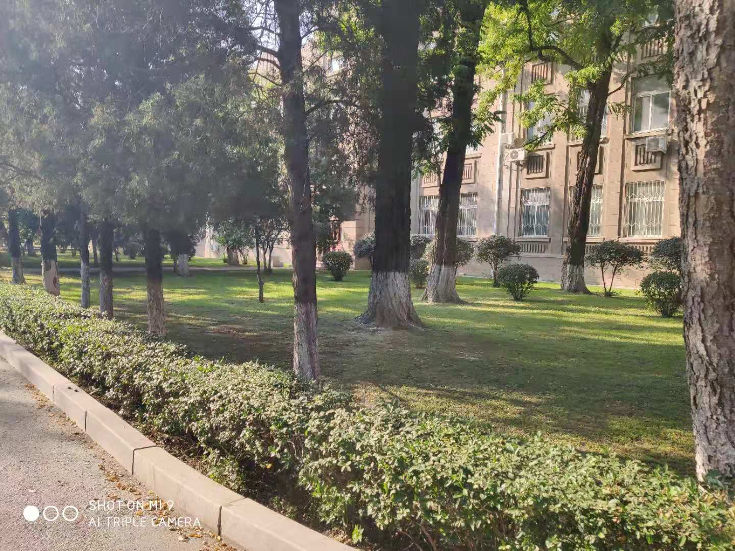 辽宁大学南校区